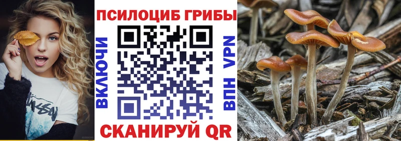 ссылка на мегу ССЫЛКА  Суоярви  Псилоцибиновые грибы Psilocybe 
