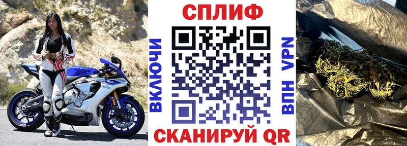 Конопля планчик  дарнет шоп  Суоярви 